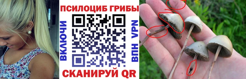 Галлюциногенные грибы ЛСД  Чистополь 