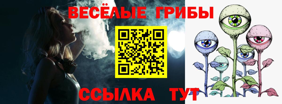 Псилоцибиновые грибы прущие грибы  Псилоцибиновые грибы GOLDEN TEACHER  Вход с VPN  наркота  Чистополь 